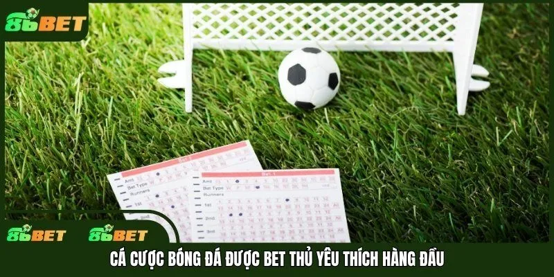 Cá cược bóng đá được bet thủ yêu thích hàng đầu