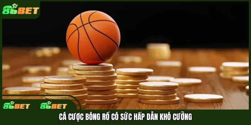 Cá cược bóng rổ có sức hấp dẫn khó cưỡng