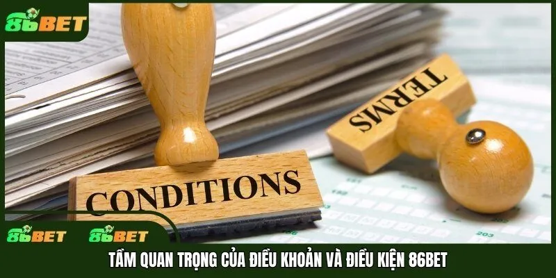Tầm quan trọng của điều khoản và điều kiện 86bet